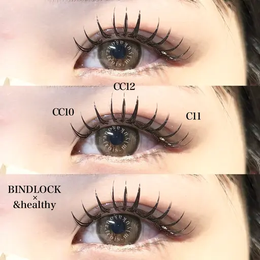 バインドロック160束