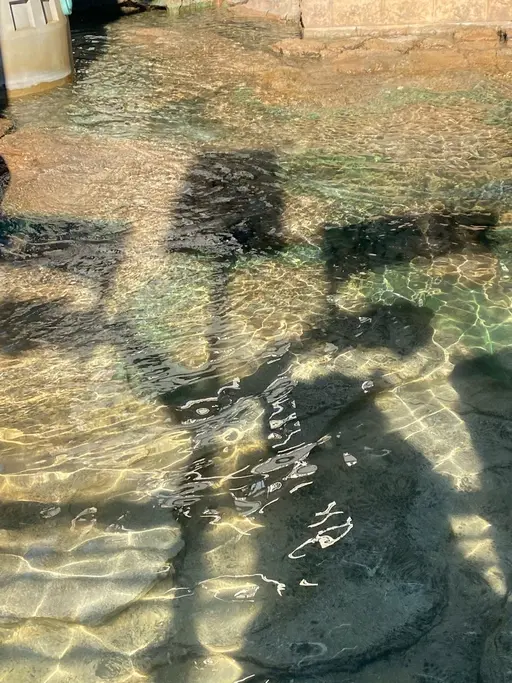 👂🫧耳ツボジュエリー6粒✨⚠️詳細、注意事項必読⚠️