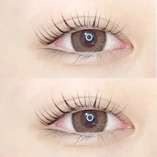 ラッシュリフト上➕コーティング✨付き