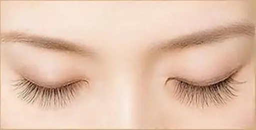 🌷アイブロウ🌷