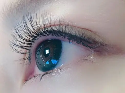 ⭐️まつ毛エクステボリュームラッシュ上3D60束コーティング付き‼️(無料)