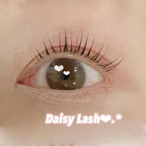 ❤︎.*オフなし／まつ毛パーマ無料モデル🐈‍⬛🤍24日急募‼️当日予約◎