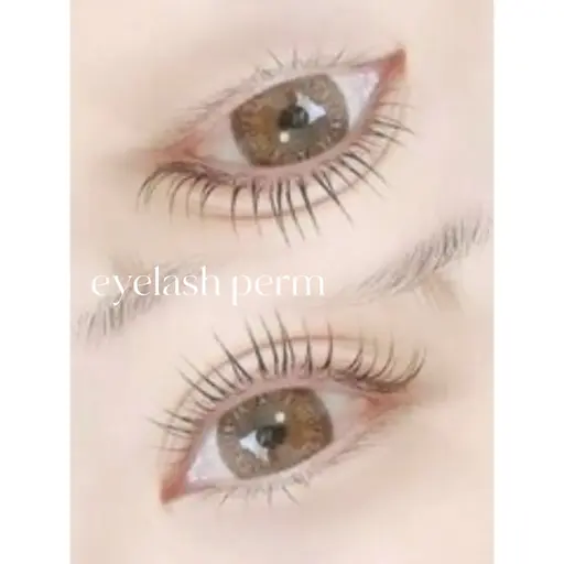 当日のご予約限定トリートメントケアつき🤍まつ毛パーマ