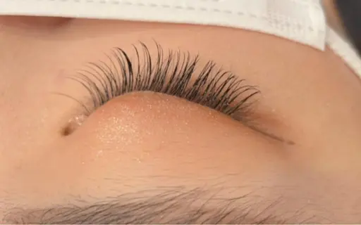 オフなし🐰練習モデル🎀マツエク100​〜​120本🎀(セーブル、フラットから選べます)🌼付け足し不可🌼