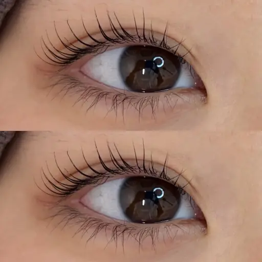 まつ毛パーマのみ