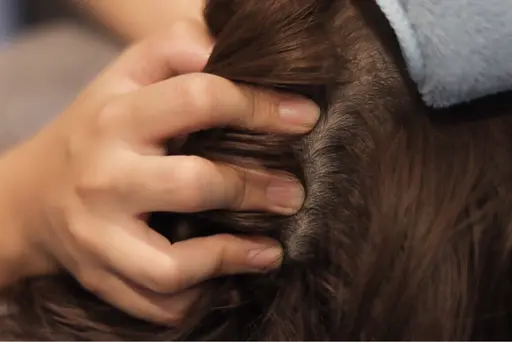 【とろける時間】ドライヘッドスパ90分コース　定価¥9,570→¥8,000！