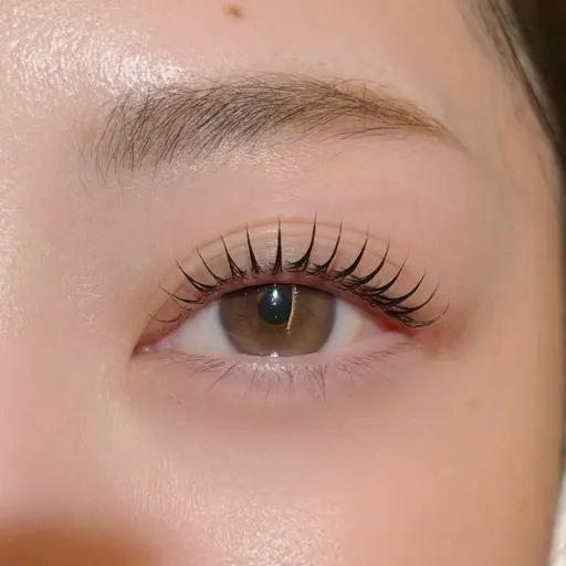 パリジェンヌラッシュリフト（上）