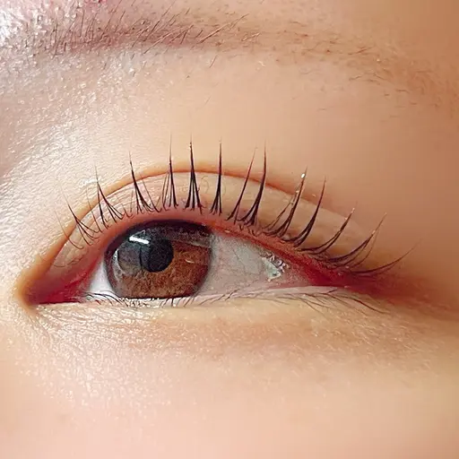 1日3名様限定価格「毛を長く見せたい！立ち上げデザインが好み」✨ラッシュリフト✨