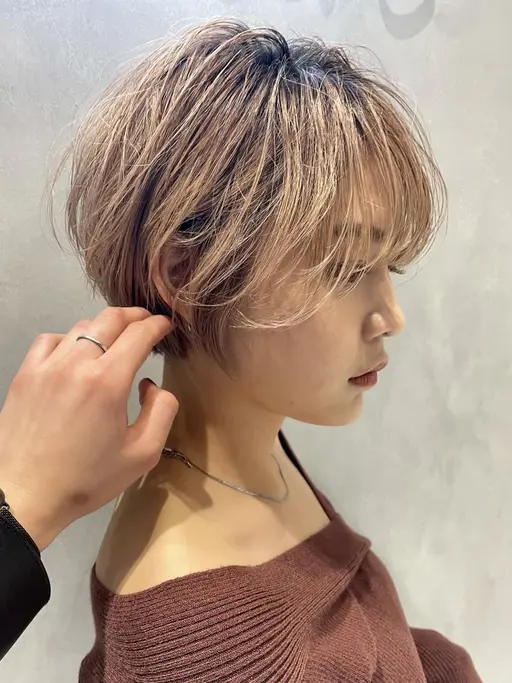 ショートカットモデル