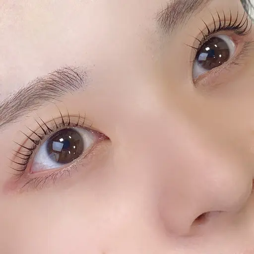 まつげパーマ(撮影モデル)※練習ではありません。二重･10-20代の方で募集しています。