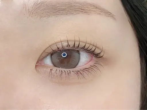 期間限定💜次世代ラッシュリフト上💜