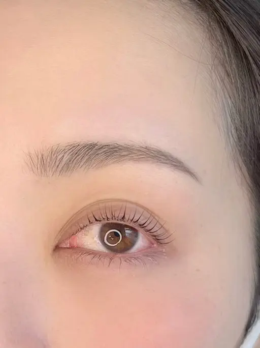 美眉スタイリングWAXと高持続まつ毛パーマのセットメニュー✨一気に垢抜けてさらにお顔を明るくします!