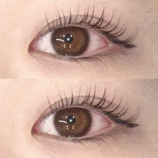 【4月26日限定】【muk.でのご案内】💖まつげパーマモデル💖【当店にご来店されたことない方限定】⚠️現金不可