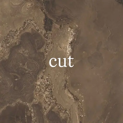 カット✂︎ (スタイルご相談◎)