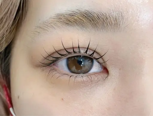 【❕9/8限定❕】まつげパーマモデル【リクエストからご予約ください】