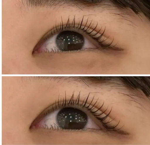 無料💐プレミアムまつげカールモデル🫶🏻⚠️