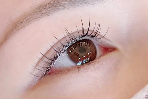 🎀フラットラッシュ100本【オフ無料☆コーティング付き】