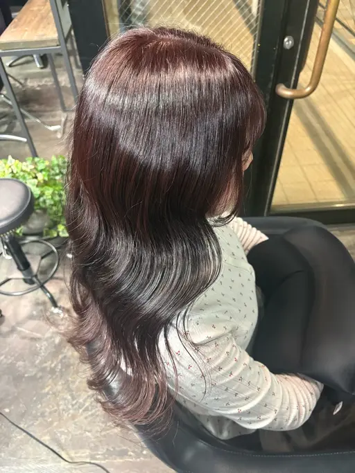 『ワンカラー』