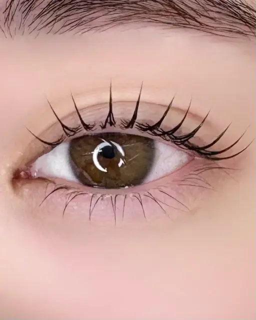 19:00-🎀上まつ毛パーマ➕カウンセリング練習モデル🎀⚠️注意事項ご確認ください⚠️30歳以下⚠️新規の方