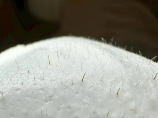 人気NO.2垢抜けケアセット☆【フェイスワックス×HBL】お顔フルセット