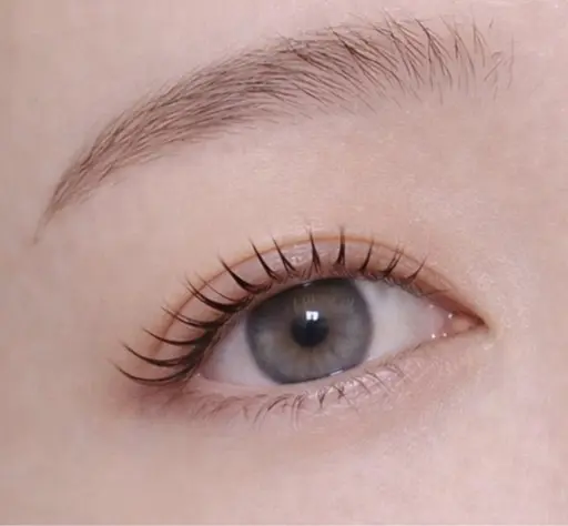 【ご新規様限定】✨🎀パリジェンヌ（上）× アイブロウWax 🎀✨トリートメントコーティング付き