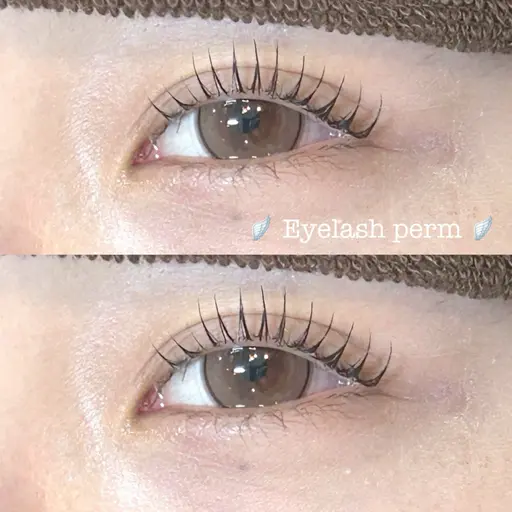 【オフなし限定】🎀無料まつ毛パーマモデル🎀