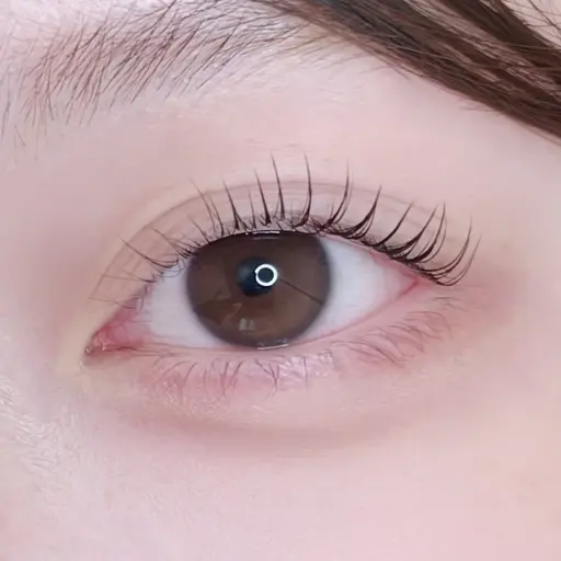 ️🫧無料🫧モデルパリジェンヌラッシュリフト                     ⚠️お直し不可⚠️