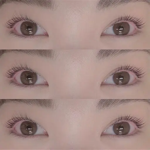 【初回限定】パリジェンヌ🎠🏳️⚧️ ¥3,900