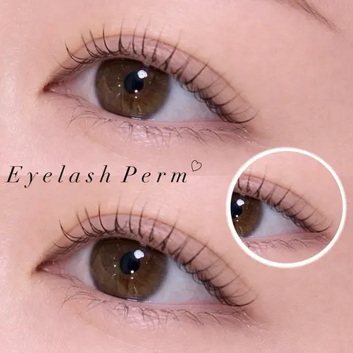 まつ毛パーマ👀✨［上］コーティング込💫