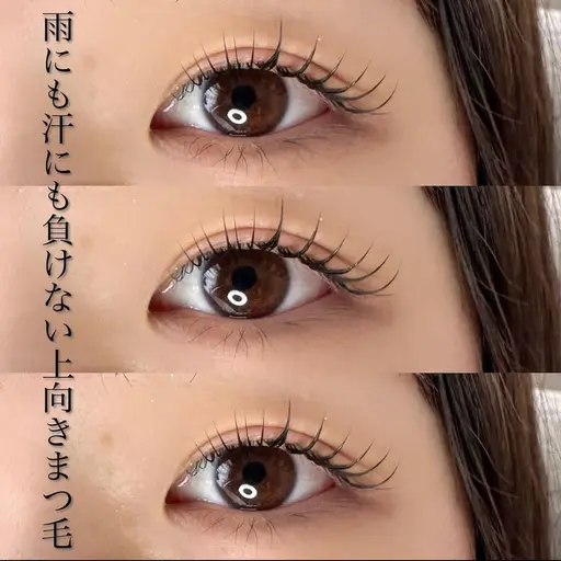 上まつ毛 ラッシュリフト