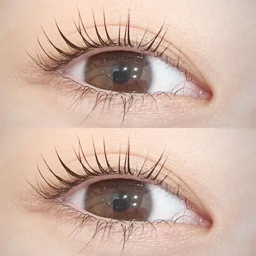 🍳ラッシュリフト(上まつ毛)🤍