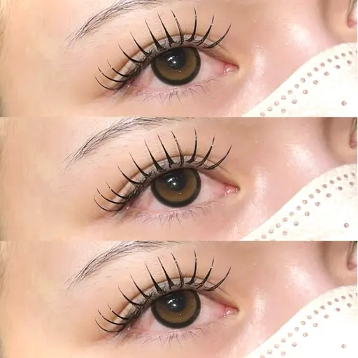 ⌇☑️バインドロック80束🍨🧡(シングル120~の濃さ)⌇仕上げコーティング付✨️束感まつげも🫧