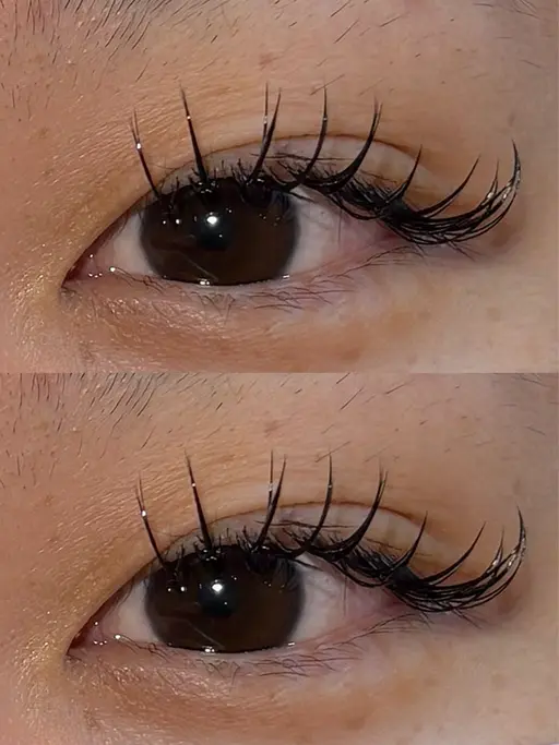 セーブル・フラット80本オフなし 付け足し不可(練習モデル)