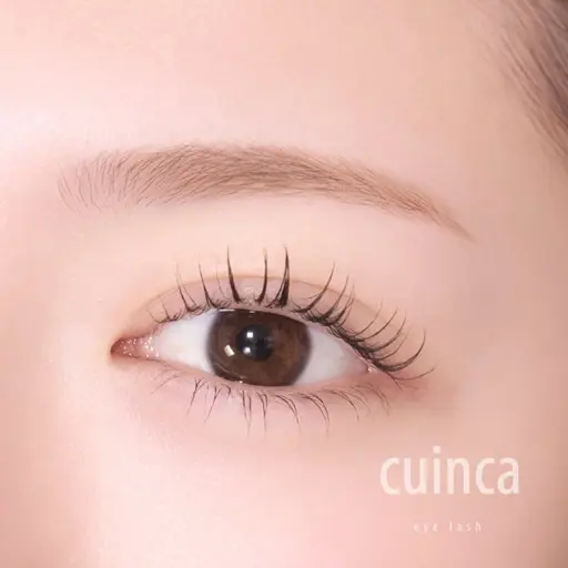 上まつげパーマ＆アイブロウWAX練習モデル🪷（眉毛の写真撮影可能の方限定メニュー📸）