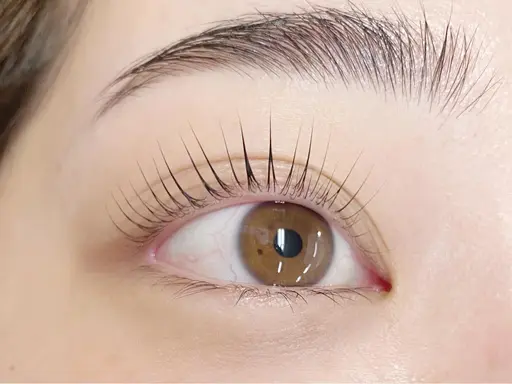 オフ込！パリジェンヌラッシュリフト￥5800円