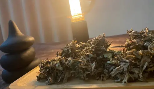 【温活&デトックス&頭ほぐし】よもぎ蒸し30分×ドライヘットスパ15分🌿.∘