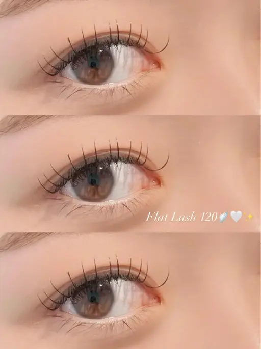 🫧【オフなし】まつ毛エクステ&アイブロウワックス🐩✨