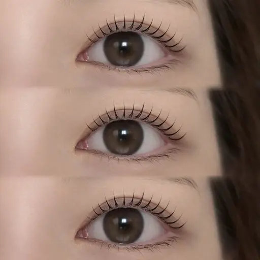 24日金曜日限定‼️【選べるパリジェンヌorまつ毛パーマ】🐼