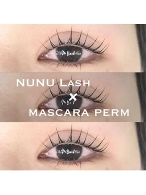 30日(木)限定✨️マスカラパーマ🫧練習モデル様募集🙌