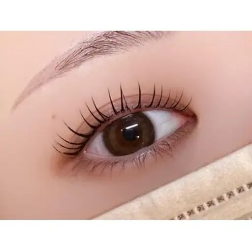 【当日限定❕】まつ毛パーマ🍀