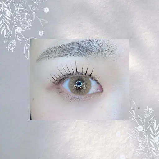 本日限定‼️【口コミ投稿】選べるラッシュリフト