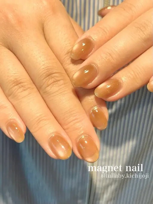 🐩マグネットネイル🐩【100色以上有】