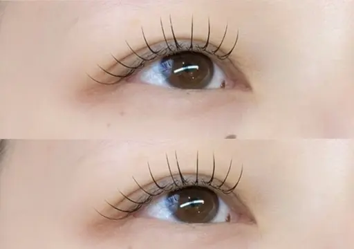 【最軽量×束感】𖧷 フラットラッシュ 60本