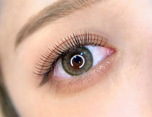 🍊モチ抜群🍊LEDエクステモデルさん募集!時間内でマツエク上100本下40本🌼🌼