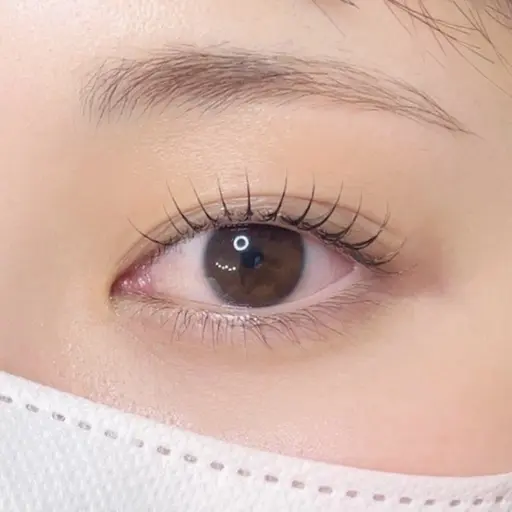 【当日限定】まつ毛パーマorパリジェンヌラッシュリフト／所要目安60分