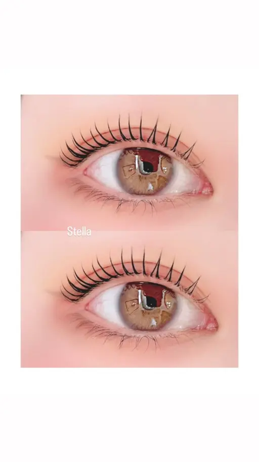 🎀ご新規様限定🎀まつ毛パーマ(ラッシュリフト)高濃度トリートメント&コーティング仕上げ✨