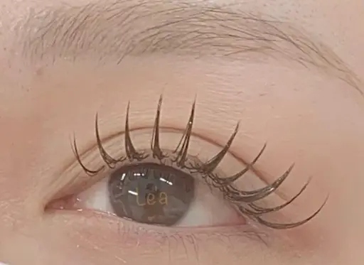 朝のメイク時短◎マツエク140本　¥5000