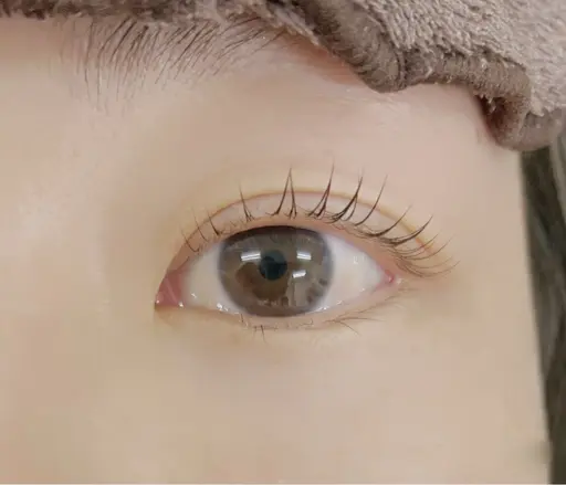 まつげパーマモデル