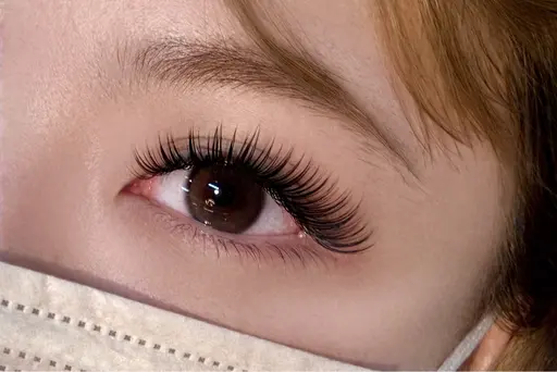 【本日限定価格‼️しっかり盛りたい方へ】バインドロック80束