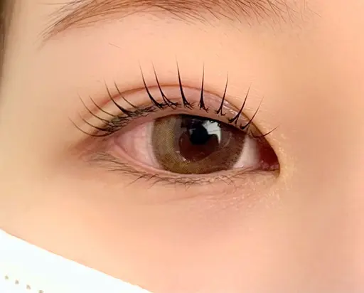 17日10:00限定🫧まつ毛パーマ🫧コーティング付き🩵